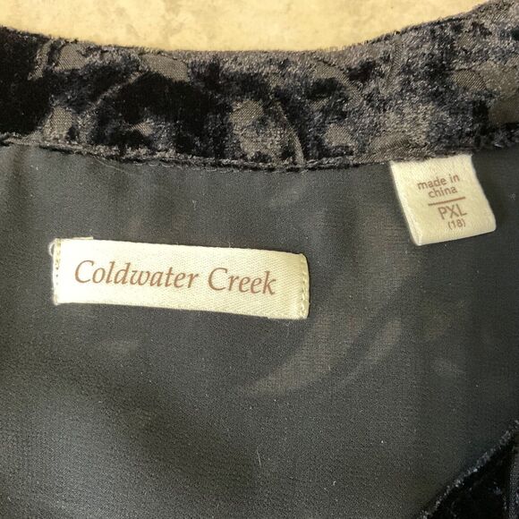 Coldwater Creek Velvet Burnout Blouse top petite XL whimsy Goth Fairy Grunge - Picture 6 of 12